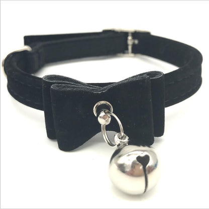 334f8a28318ab4e1a40440a907654082