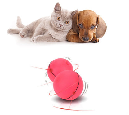 Balle LED laser électronique pour chats en action