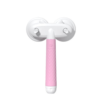 Brosse de toilettage double tête pour chats et chiens