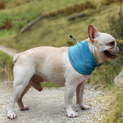 Bandana Rafraîchissant pour Animaux - Papapattes