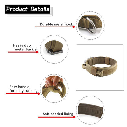 Collier en nylon résistant pour chien, alliant sécurité et confort supérieur.