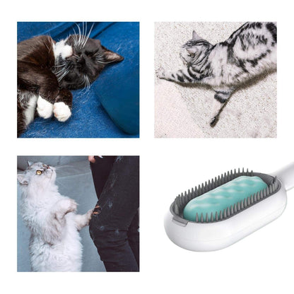 Brosse à poils innovante pour chats, douce au toucher