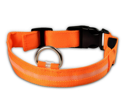 Collier LED lumineux pour chien et chat, visibilité accrue