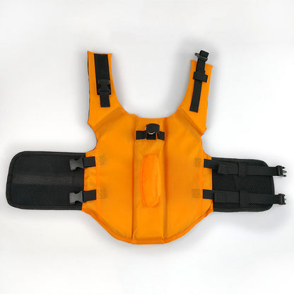 Gilet de sauvetage amusant requin pour chien à la plage.