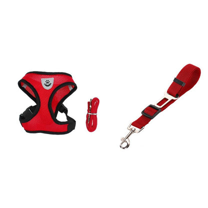 Ceinture de sécurité pour animaux, trajet en toute sécurité