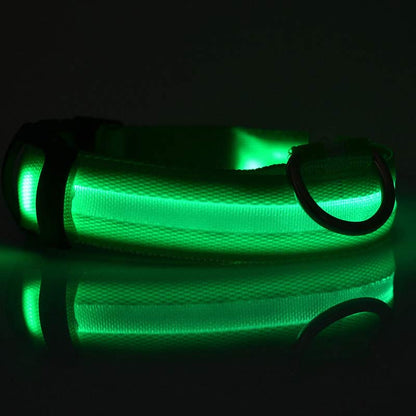 Collier LED lumineux pour chien et chat, visibilité accrue