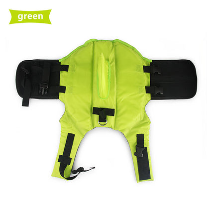 Gilet de sauvetage amusant requin pour chien à la plage.