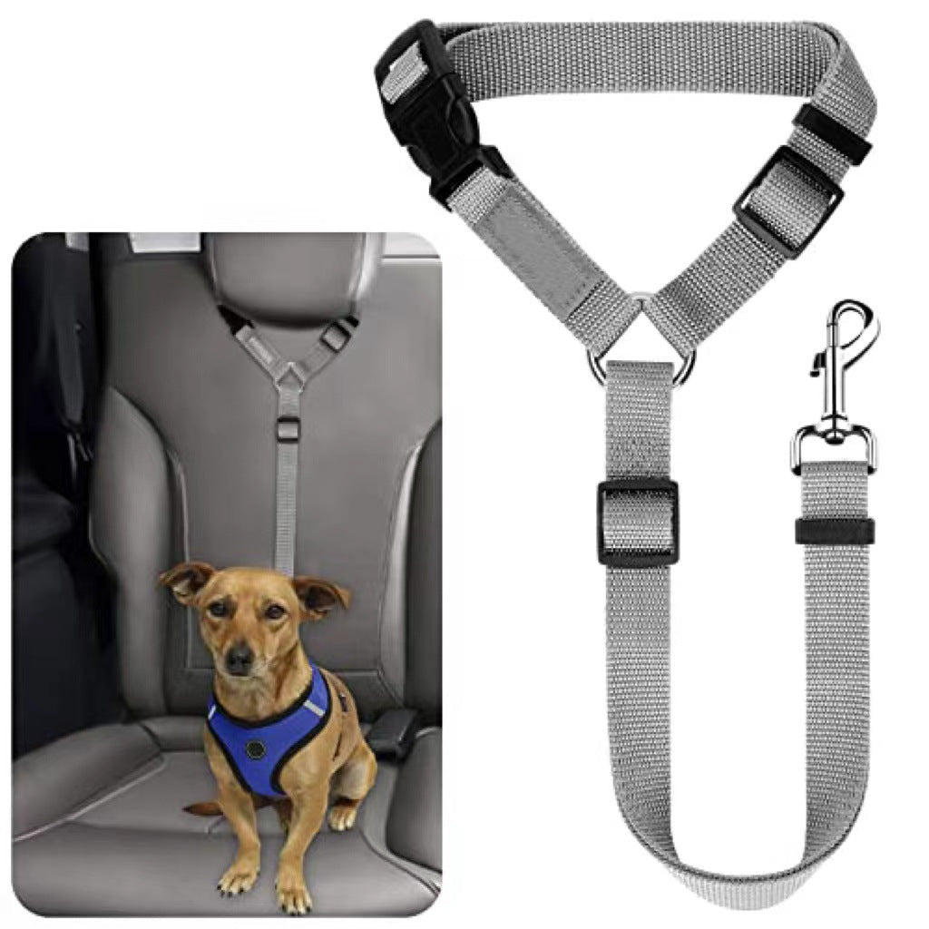Laisse pour chien, ceinture de sécurité, grand chien