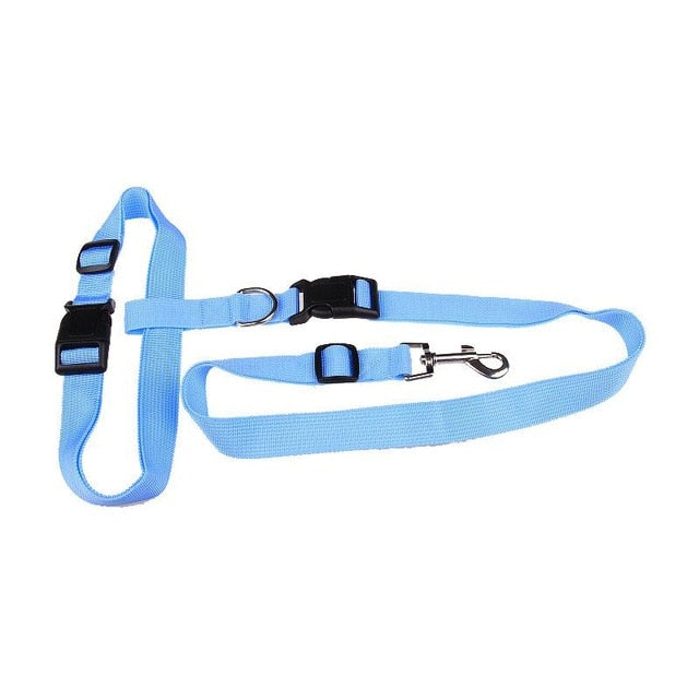 Laisse de Traction Attractive pour Chiens - Sécurisée et Pratique