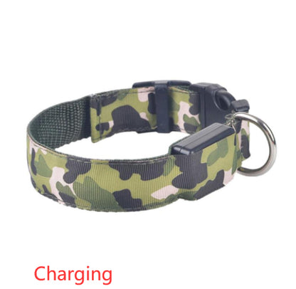 Collier lumineux camouflage, idéal pour chiens et chats en soirée.