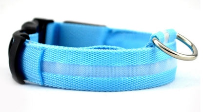 Collier LED lumineux pour chien et chat, visibilité accrue