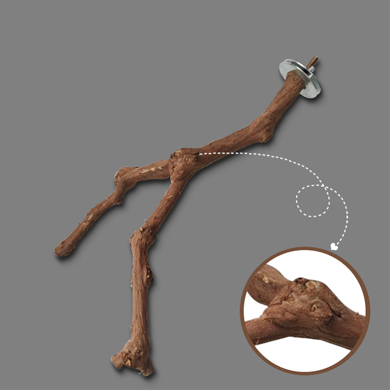 Support Naturel pour Perroquets - Papapattes