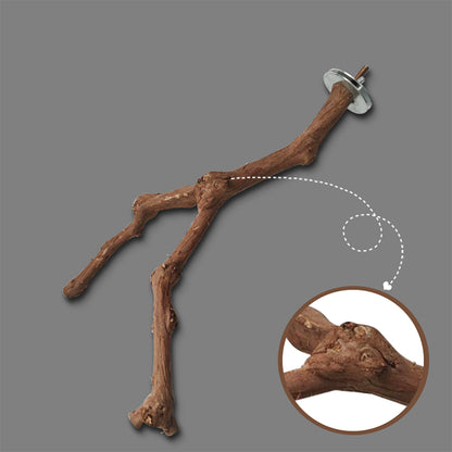Support Naturel pour Perroquets - Papapattes
