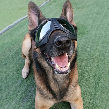 Lunettes de Protection Étanches pour Chien - Papapattes