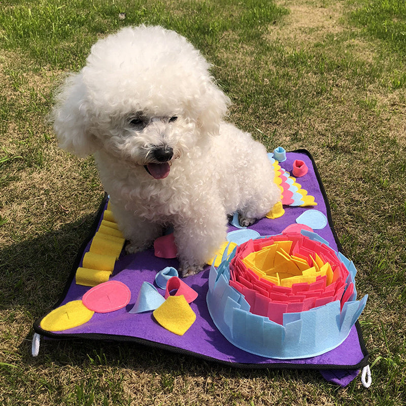 8a730d566e8b8ce707e98fee0e065ce3