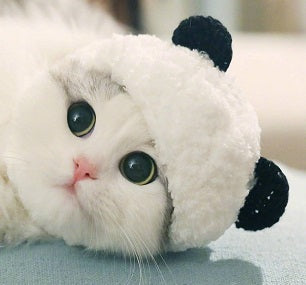 Chapeau panda pour animaux - Papapattes