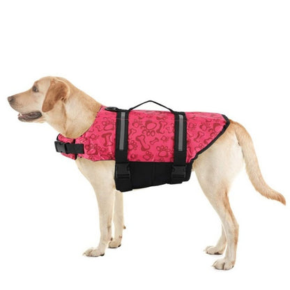Paw Roll : jouet éducatif stimulant pour chien - Papapattes
