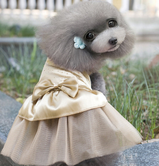 Robe de Mariage pour Chien - Élégance et Confort - Papapattes