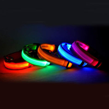 Collier LED lumineux pour chien et chat, visibilité accrue