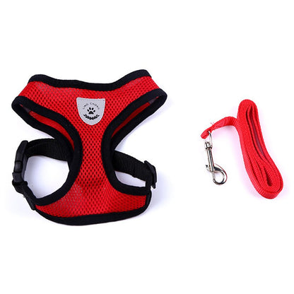 Ceinture de sécurité pour animaux, trajet en toute sécurité