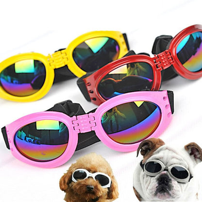 Lunettes de soleil pliables pour chien, style et protection contre les rayons UV.