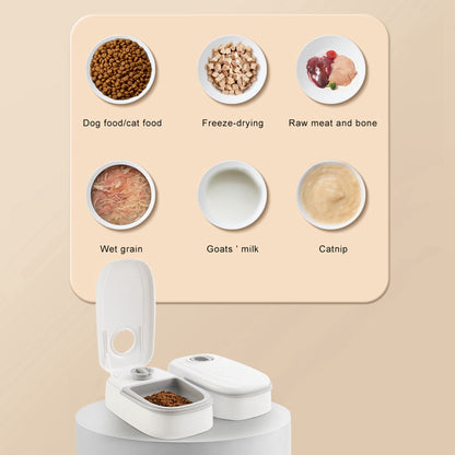 Distributeur automatique pour nourrir vos animaux facilement
