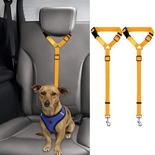 Laisse pour chien, ceinture de sécurité, grand chien