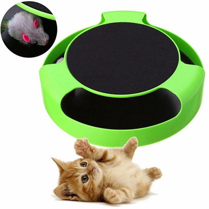 Cat Catch : jouet chasseur pour chat - Papapattes