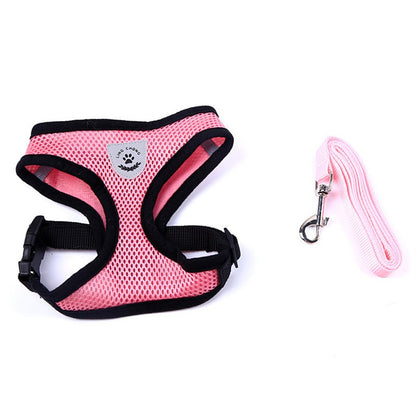 Ceinture de sécurité pour animaux, trajet en toute sécurité