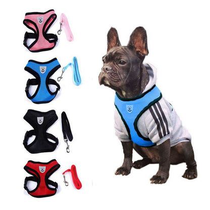 Ceinture de sécurité pour animaux, trajet en toute sécurité