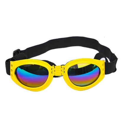 Lunettes de soleil pliables pour chien, style et protection contre les rayons UV.