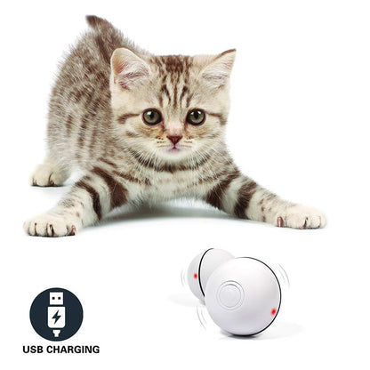 Balle LED laser électronique pour chats en action