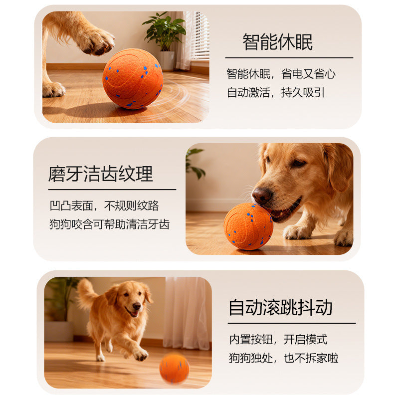 Jouet pour chien, balle sautillante interactive