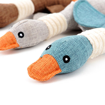 Jouets sonores pour chiens et chats colorés