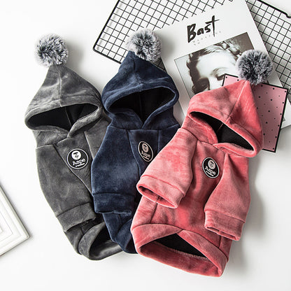 Vêtements d'hiver pour chien - Confort et chaleur - Papapattes