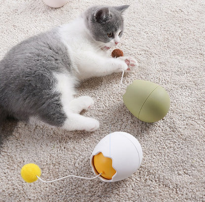 Jouet interactif coloré pour le divertissement des chats