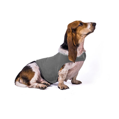 Veste Anti-Anxiété pour Chien et Chat - Papapattes