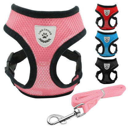 Ceinture de sécurité pour animaux, trajet en toute sécurité