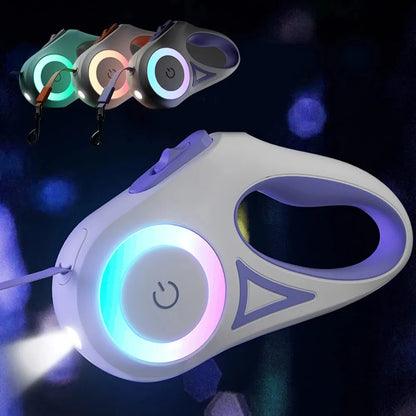 Laisse rétractable lumineuse pour chien, assurant sécurité lors des promenades nocturnes.