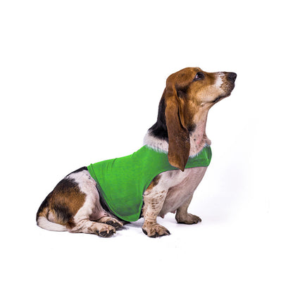 Veste Anti-Anxiété pour Chien et Chat - Papapattes