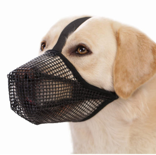 Masque de protection pour chien - Papapattes
