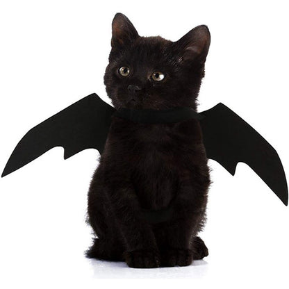 Ailes de Chauve-Souris Halloween pour Chien et Chat - Papapattes