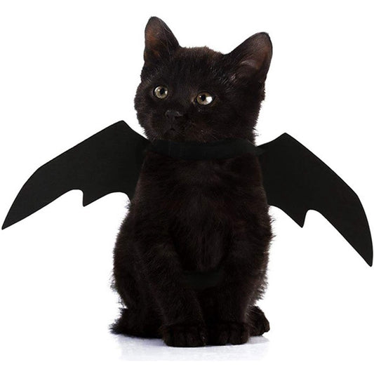 Ailes de Chauve-Souris Halloween pour Chien et Chat - Papapattes