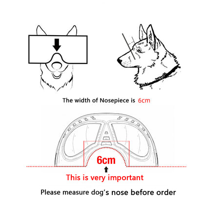 Lunettes de Protection Étanches pour Chien - Papapattes