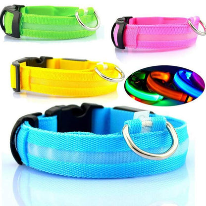 Collier LED lumineux pour chien et chat, visibilité accrue