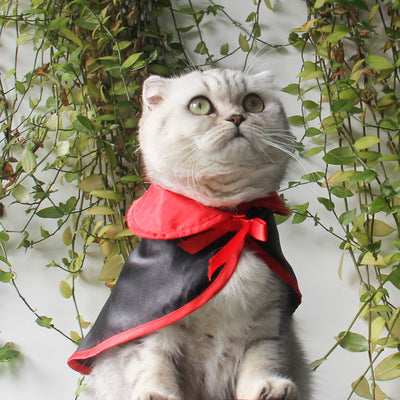 Manteau Halloween pour Animaux - Confort et Style - Papapattes