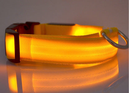 Collier LED lumineux pour chien et chat, visibilité accrue
