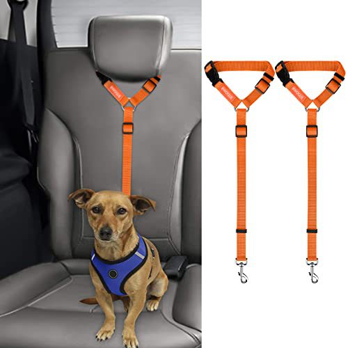 Laisse pour chien, ceinture de sécurité, grand chien
