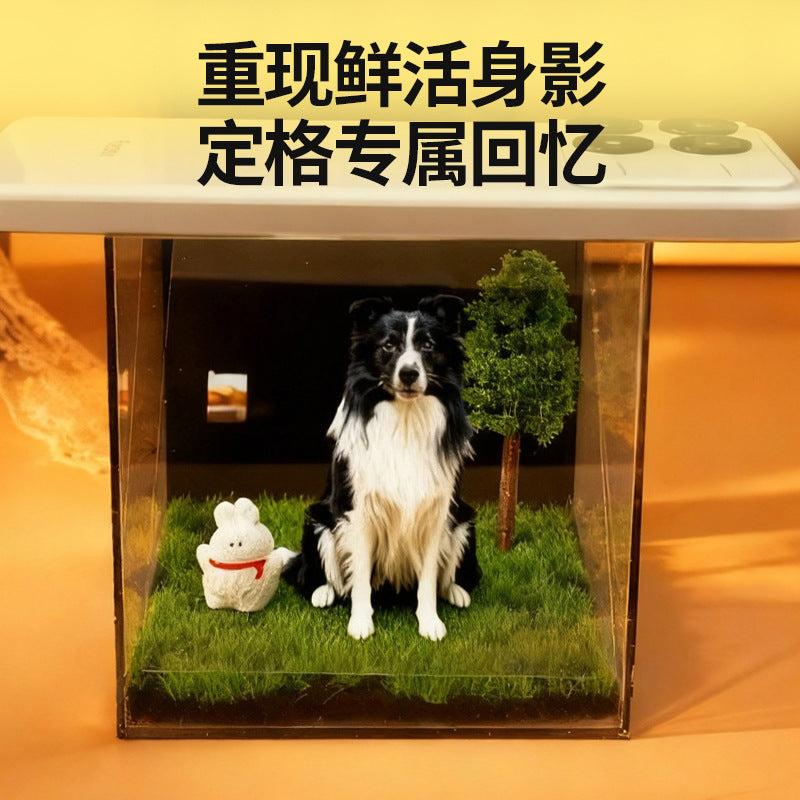 Projection holographique pour animaux de compagnie