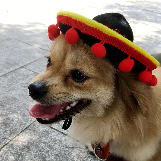 Chapeaux Hot Dog pour Chien et Chat - Style et Confort - Papapattes